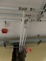 Ukázat větší obrázek 1596869